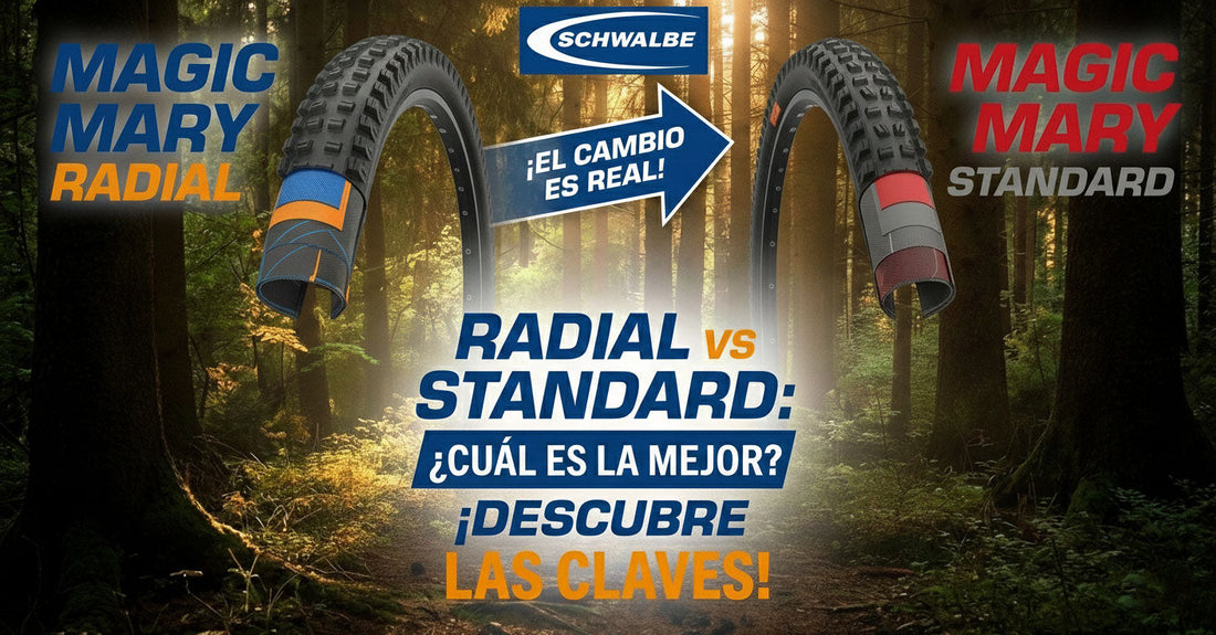 ¿VALE LA PENA? | Magic Mary RADIAL vs STANDARD